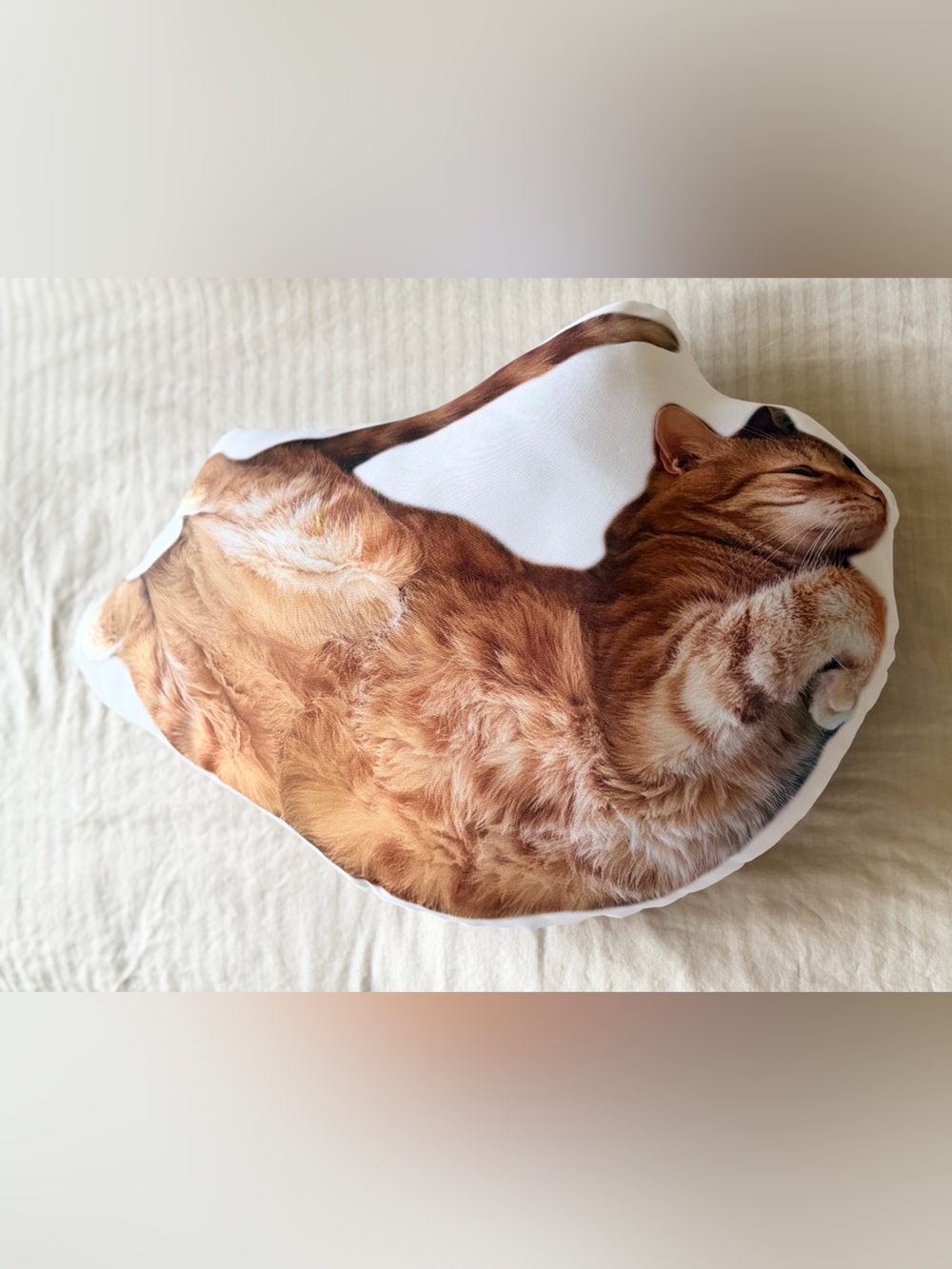 Plush Ginger Cat Shaped Pet Pillow - Decorative Cat Cushion (Ginger)